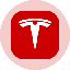 Tesla (Ondo Tokenized Stock)LOGO